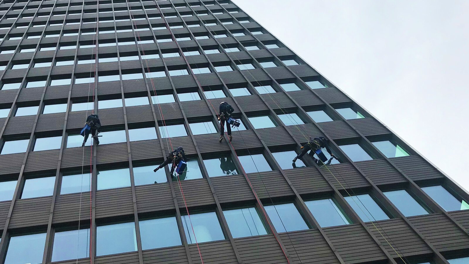 Rope work on the outside of a tall building