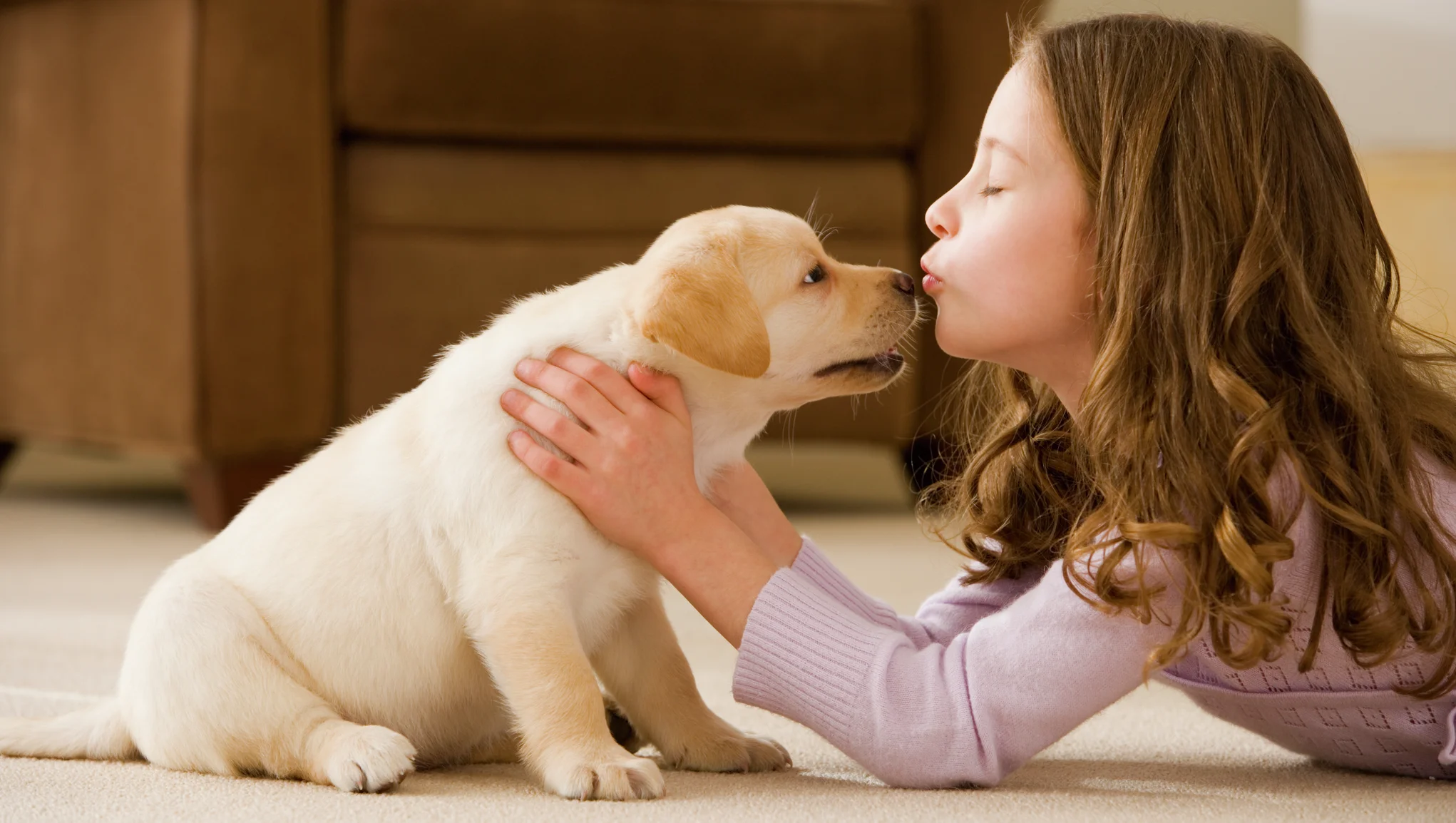 forstørrelse amme Blind Hundeforsikring | Anbefales af Tænk | Beregn prisen på din forsikring her