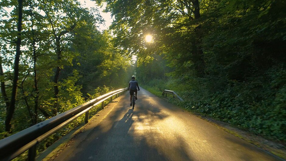 A person biking on a sunny road surrounded by trees