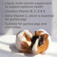 Vitamintillskott Beaphar för marsvin och chinchilla 100 ml