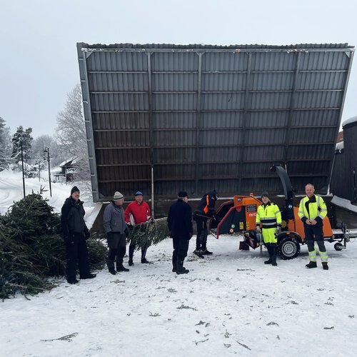 Flere menn står å kverner opp juletre på Råholt ute på vinteren