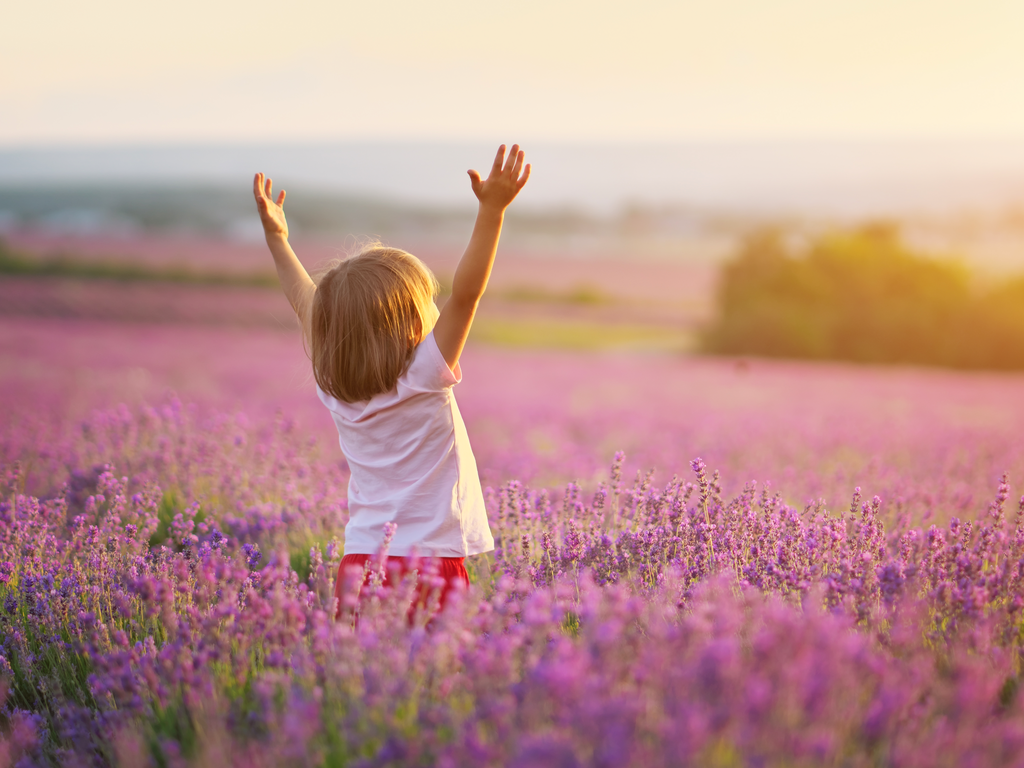 Et barn står midt på en jorde fylt med rosa blomster