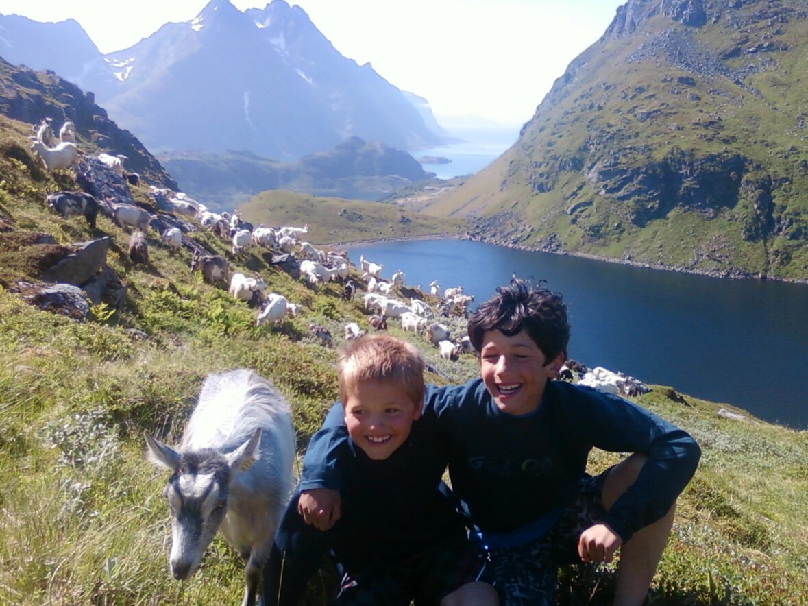 CHILDREN ON A TRIP WITH THE GOATS.JPG