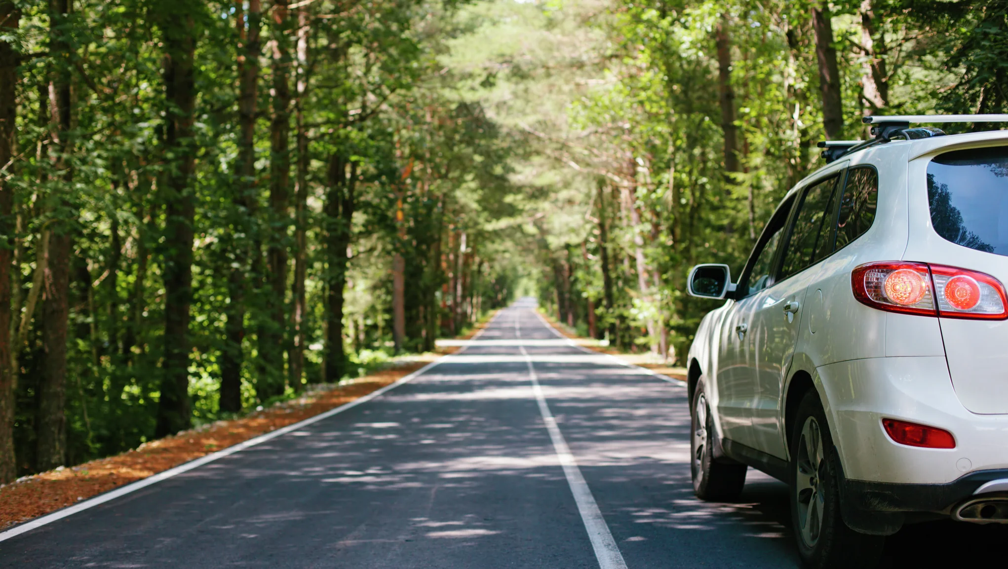 Liikluskindlustus ja kasko kaitsevad sinu toimetulekut ootamatute kuludega, kui peaksid autoga õnnetusse sattuma.