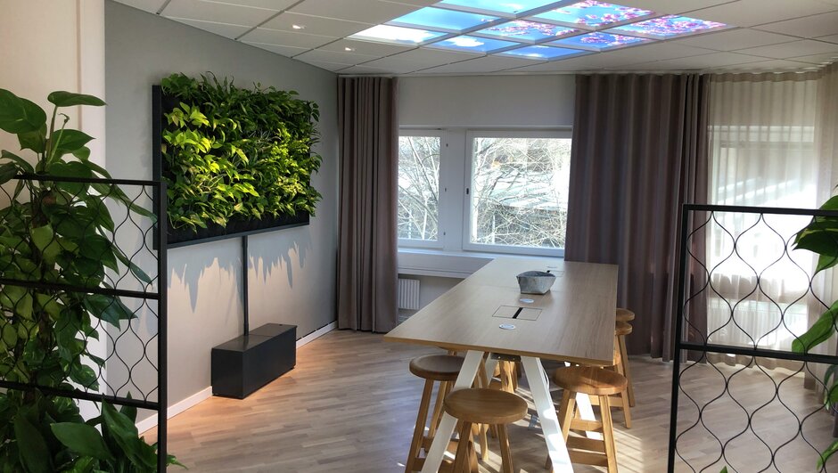 A sunny space at If offices with a plant wall