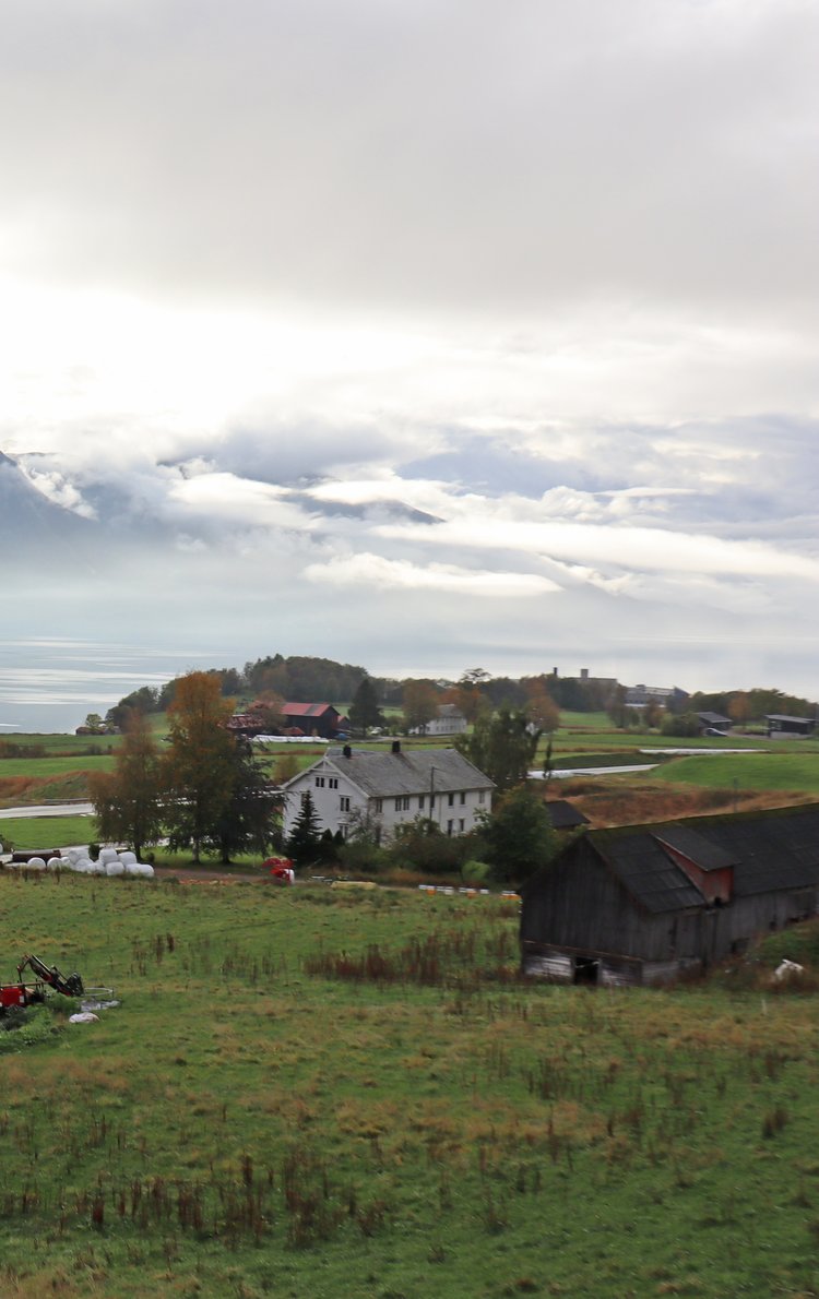 Sjurstua økologiske gård i Molde