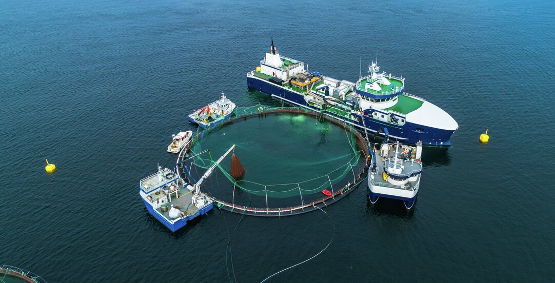Cover image of article "Using well-boats in  Norwegian aquaculture – a complicated legislative framework"